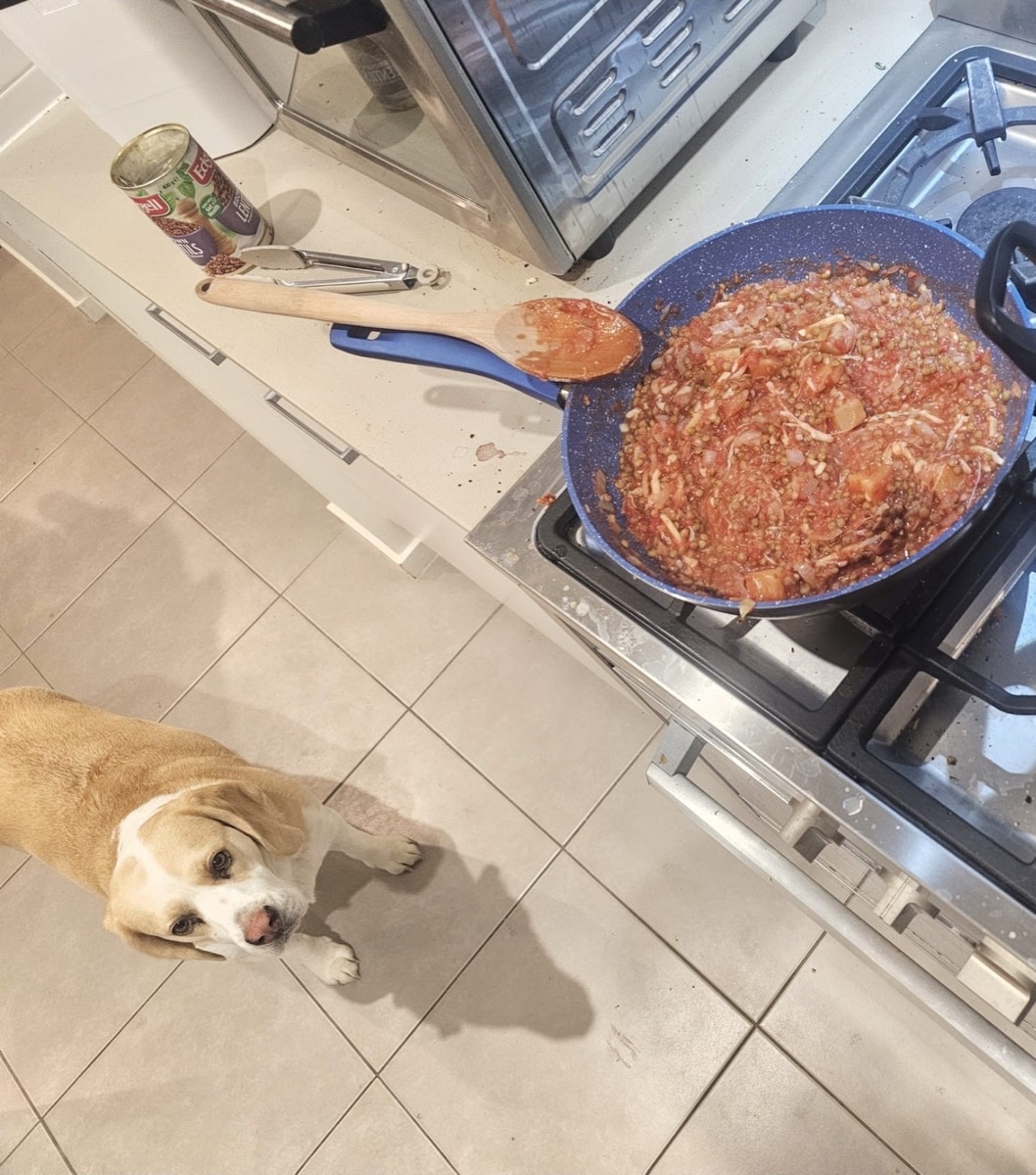 Lemon the dog